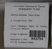 Image Associated With the Occurrence